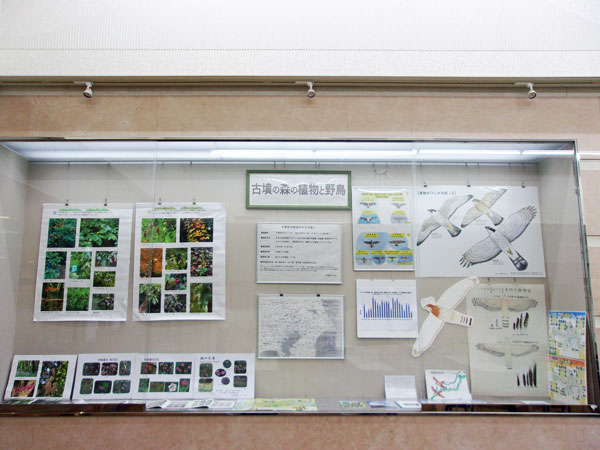 古墳の森の植物と野鳥